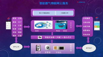 构筑数字边疆安全屏障 黑龙江省国家密码管理局推动网络与信息安全软件开发